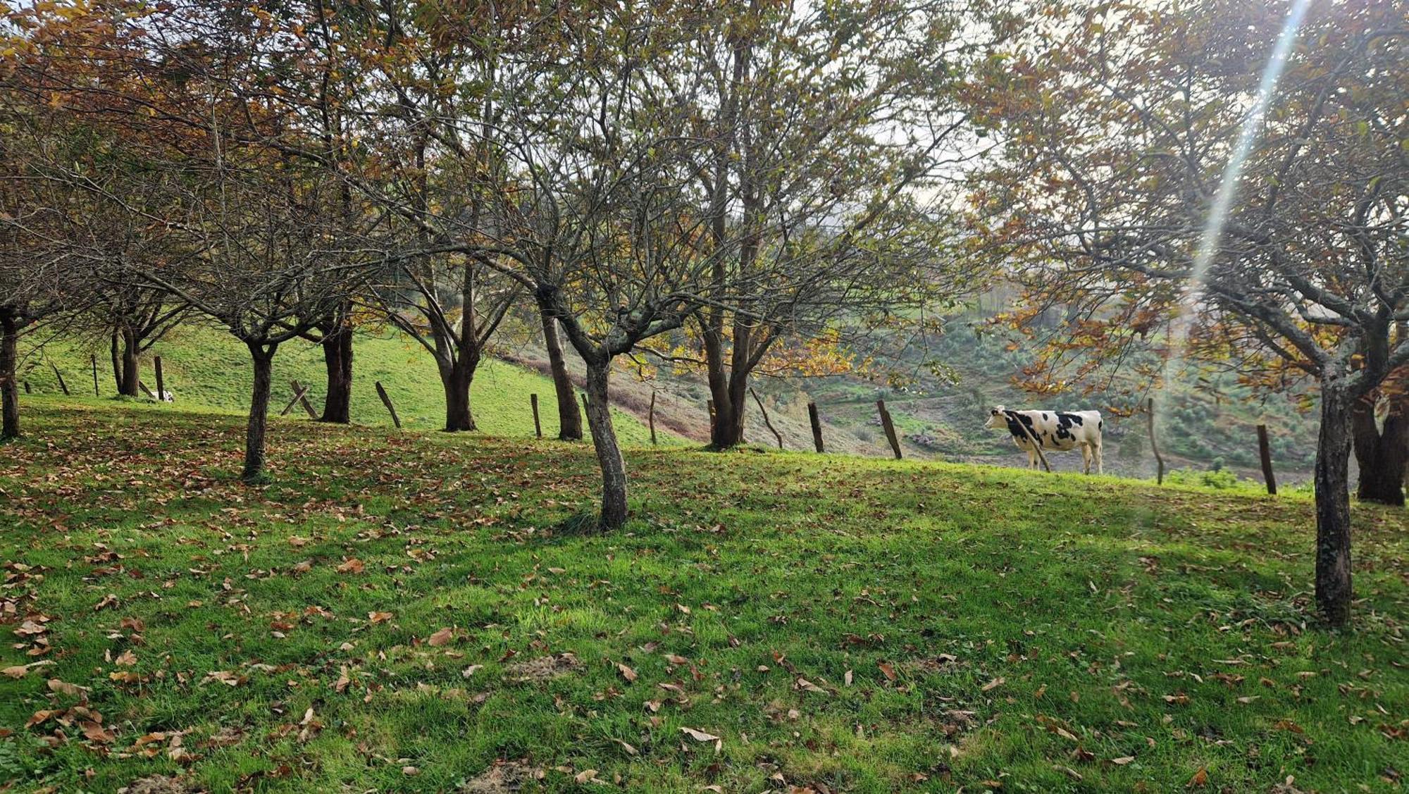 Casa Bezales En Ampuero Cantabria 外观 照片